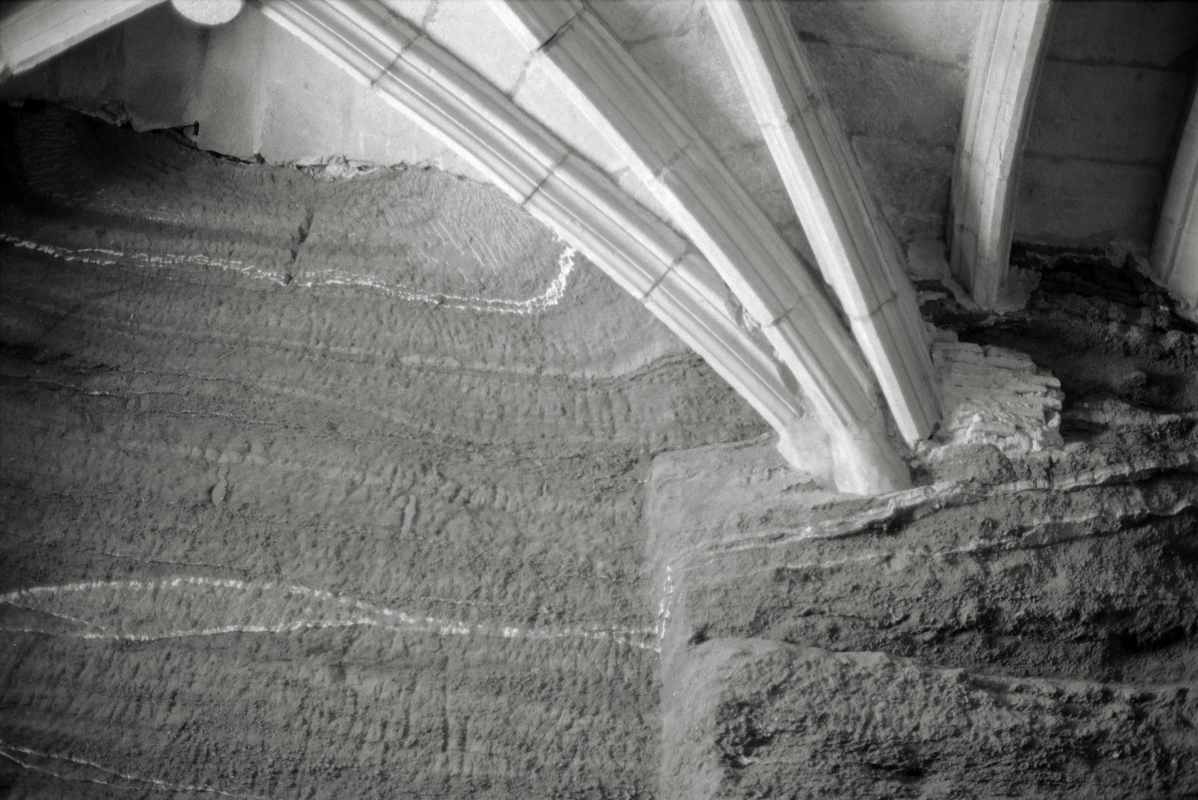 AHP F1995 05 008 sc240826 img08 NLP